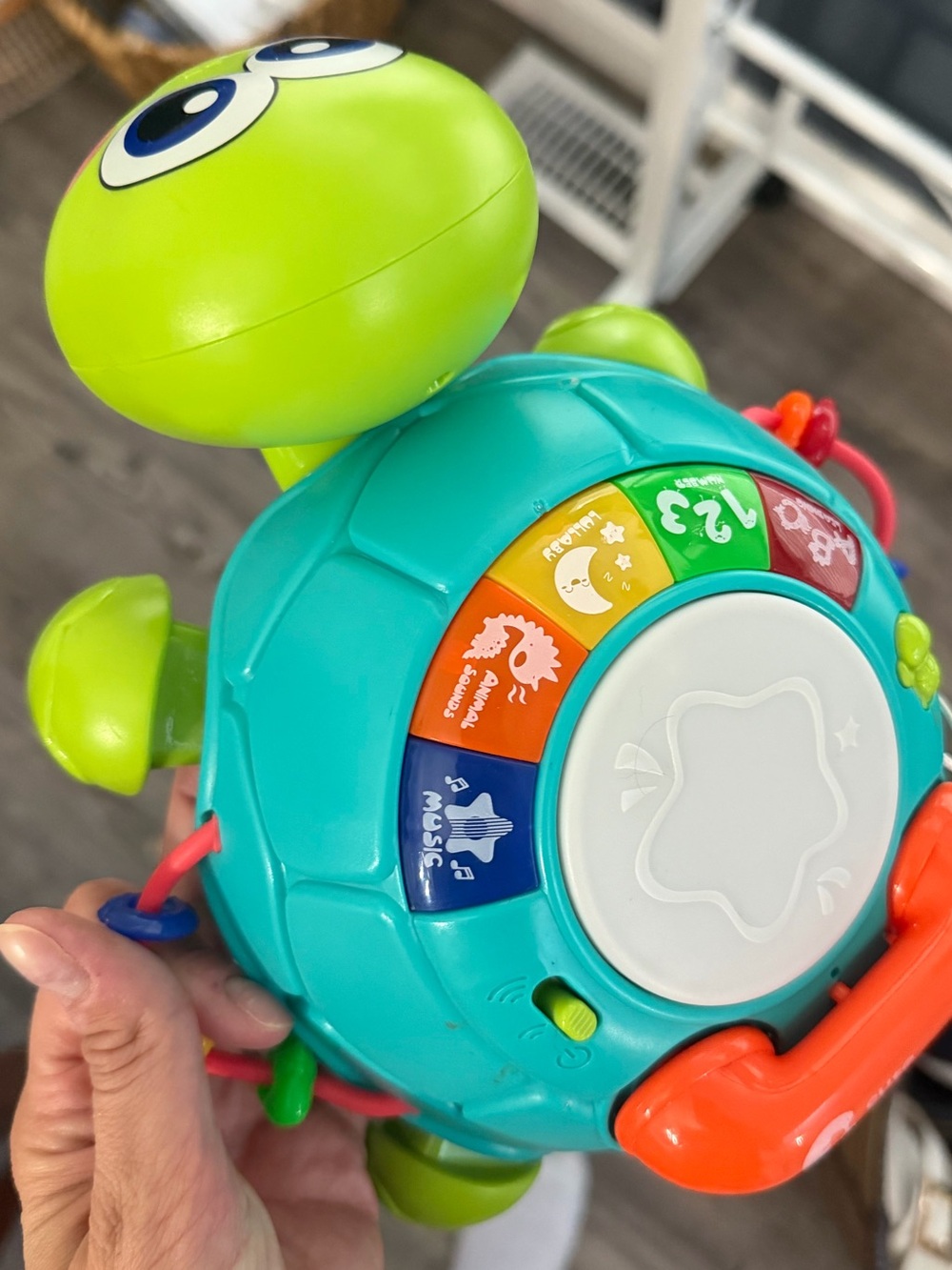 Interactive Teal and Lime Turtle Toy - Educational Musical Activity Toy